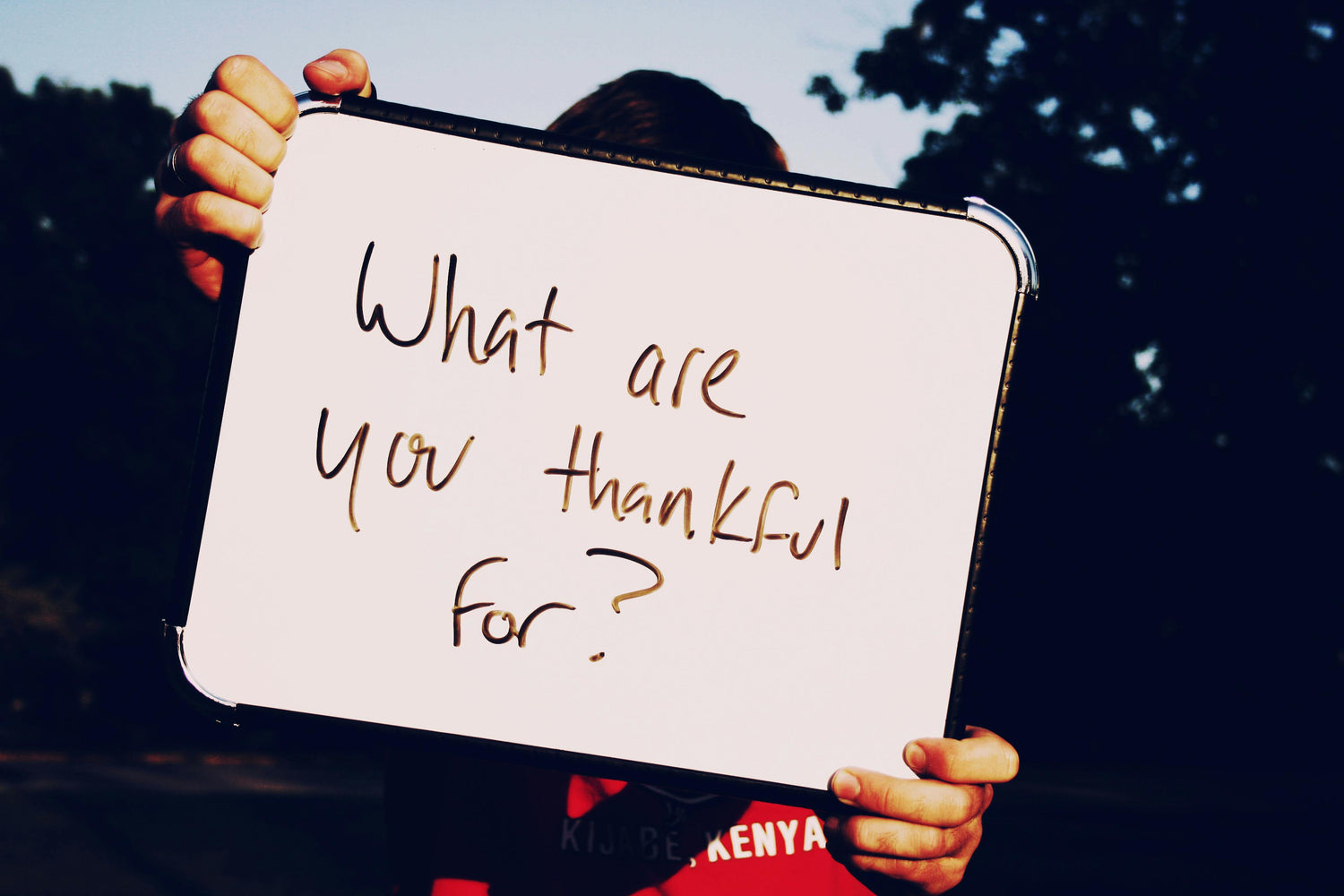 The Art of Asking Good Questions (And Why It Matters For Your Friendships)